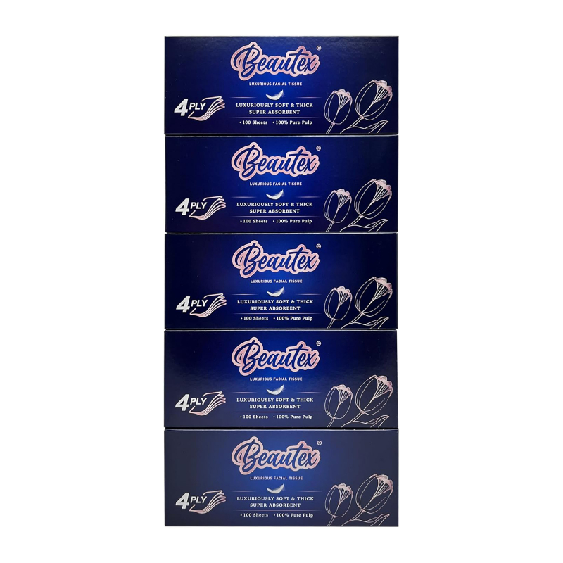 Beautex Ichiryu 4-Ply Facial Tissue