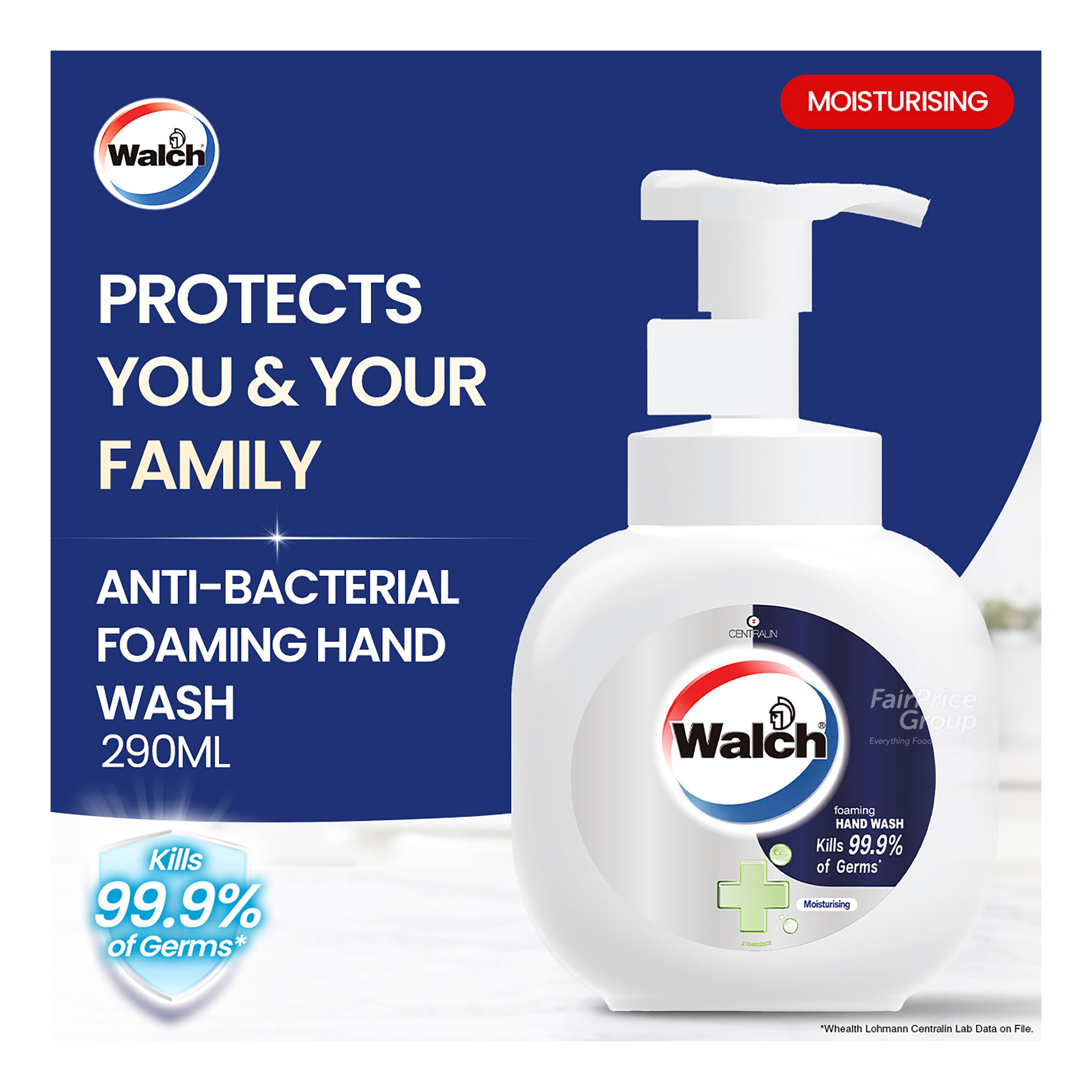 Walch Antibacterial Hand Wash Foam - Moisturising 290ml