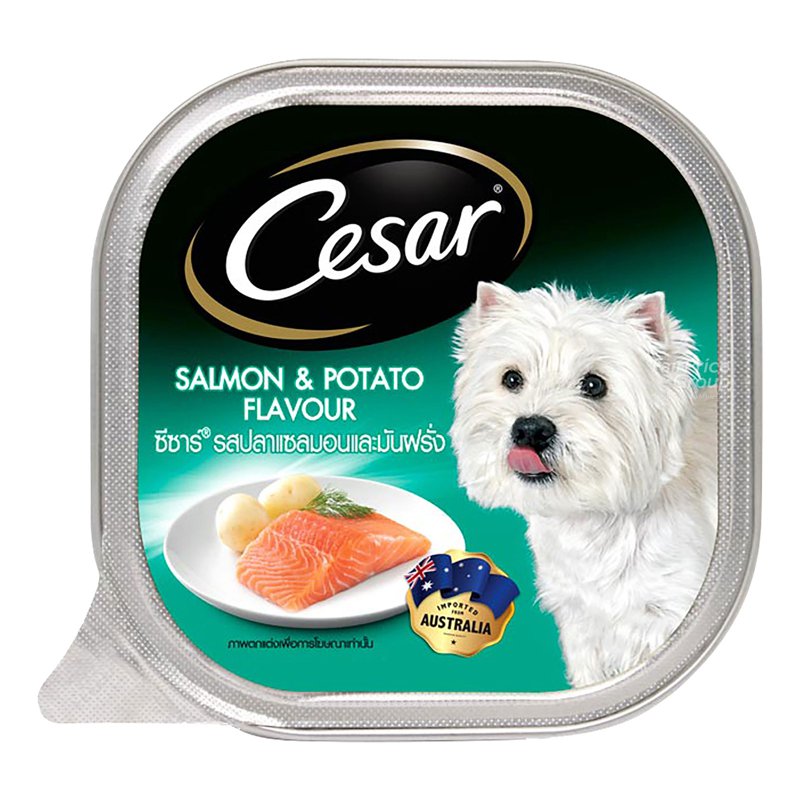 Cesar Dog Wet Food - Salmon with Potato And Carrot