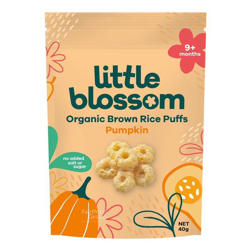 LITTLE BLOSSOM Organic Baby Puffs - Pumpkin
