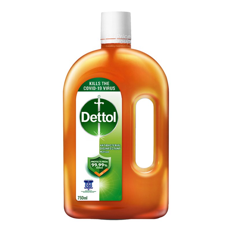 Dettol Antiseptic Germicide Liquid