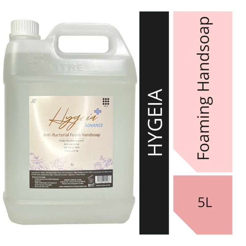 Hygeia Anti-bacterial Foam Handsoap (Blueberry Scent)