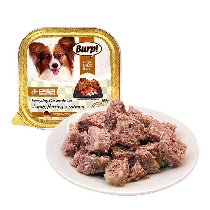 Burp Everyday Casserole With Lamb Herring & Salmon