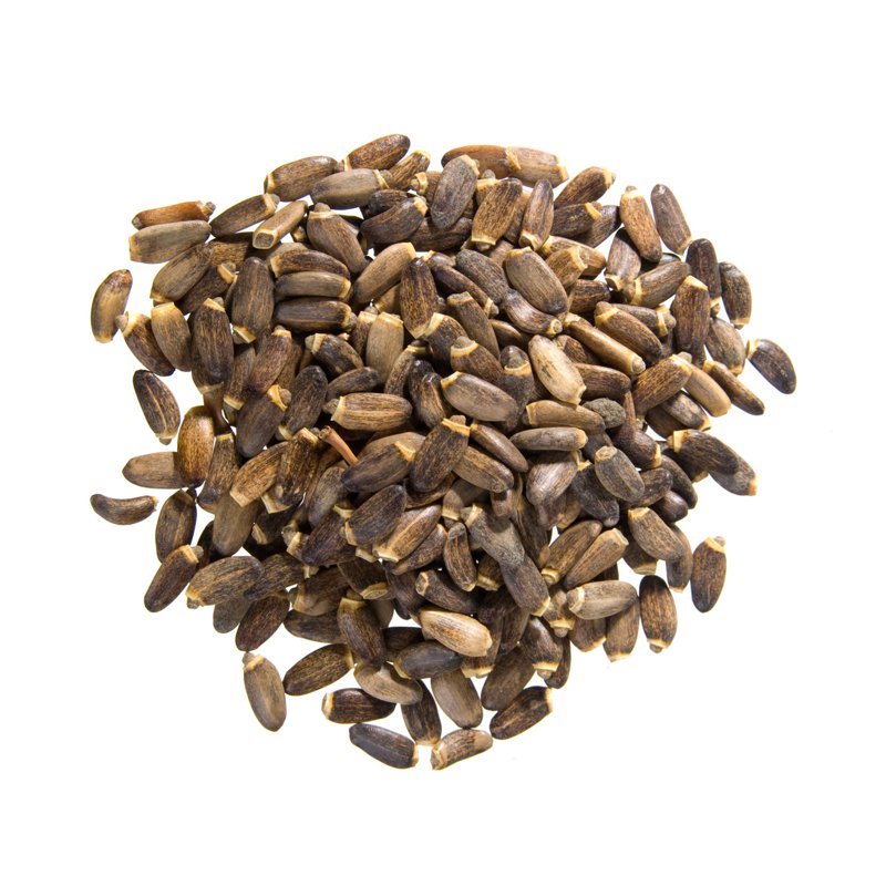 GardenScent Organic Milk Thistle Seed