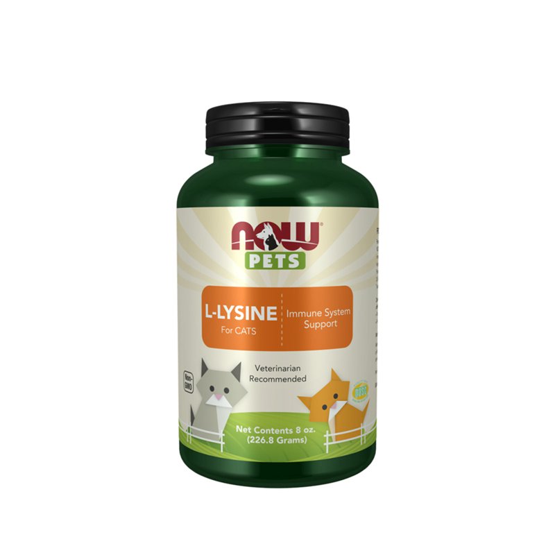 Now Foods L-Lysine Supplement, Powder, Formulated for Cats
