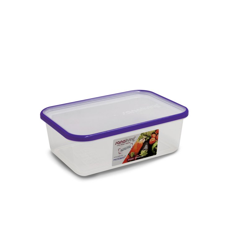 OMADA Sanaliving Flat antibacterial container - purple