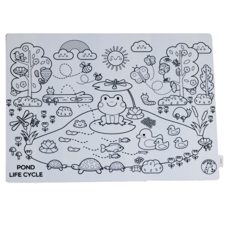 Growing Up Pond Life Cycle, Colouring Big Mat 40x30cm 1 S