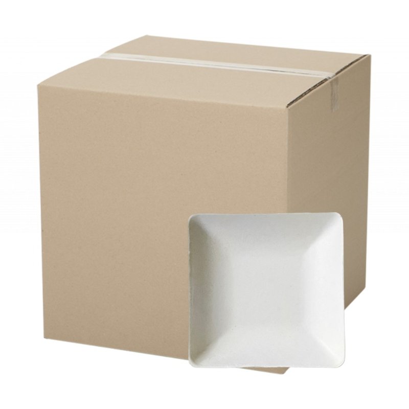 eco u Sugarcane Canape Plate Square 100% Biodegradable Carton 50 S