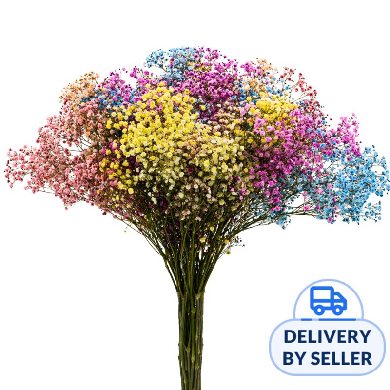 JM Flower Baby Breath Gypsophila - Rainbow 25 S