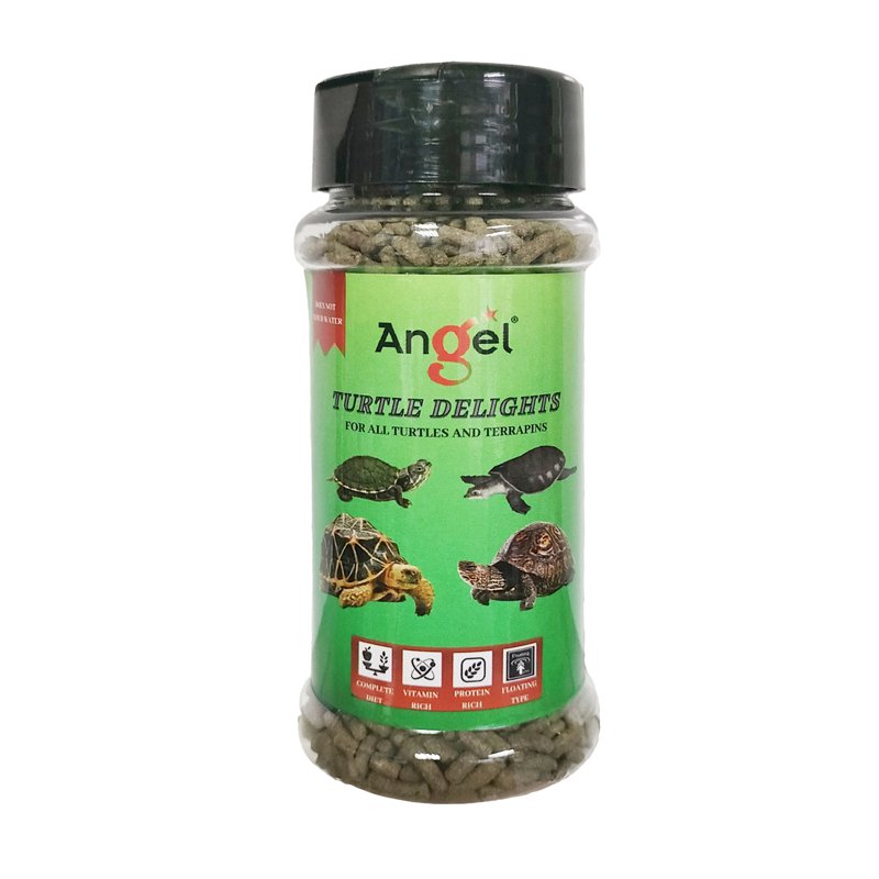 Angel Turtle Delights