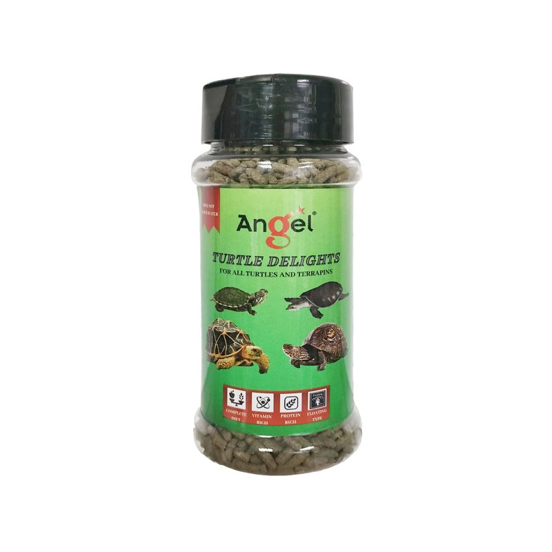Angel Turtle Delights
