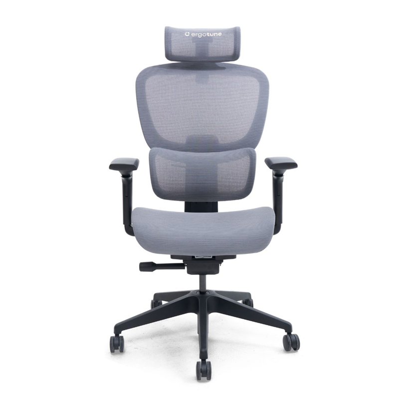 ErgoTune Joobie Ergonomic Chair - Granite Gray