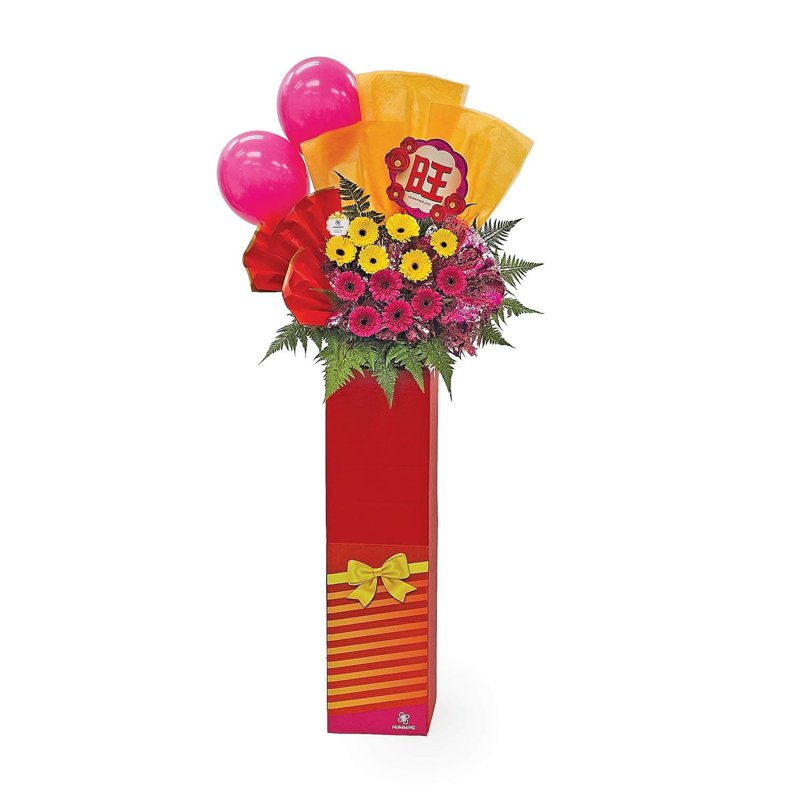 Opening Gallery Flower - Bold Beginning (KGO838) 1 S
