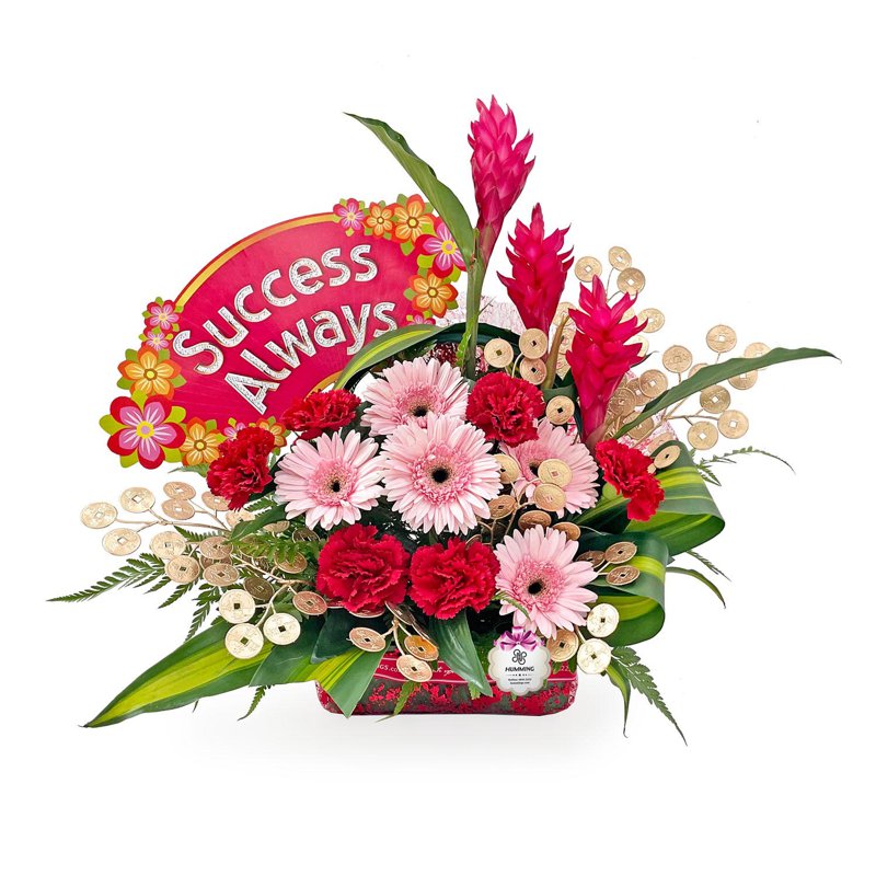 Congratulatory Flower - Bloom Success (KGO822) 1 S