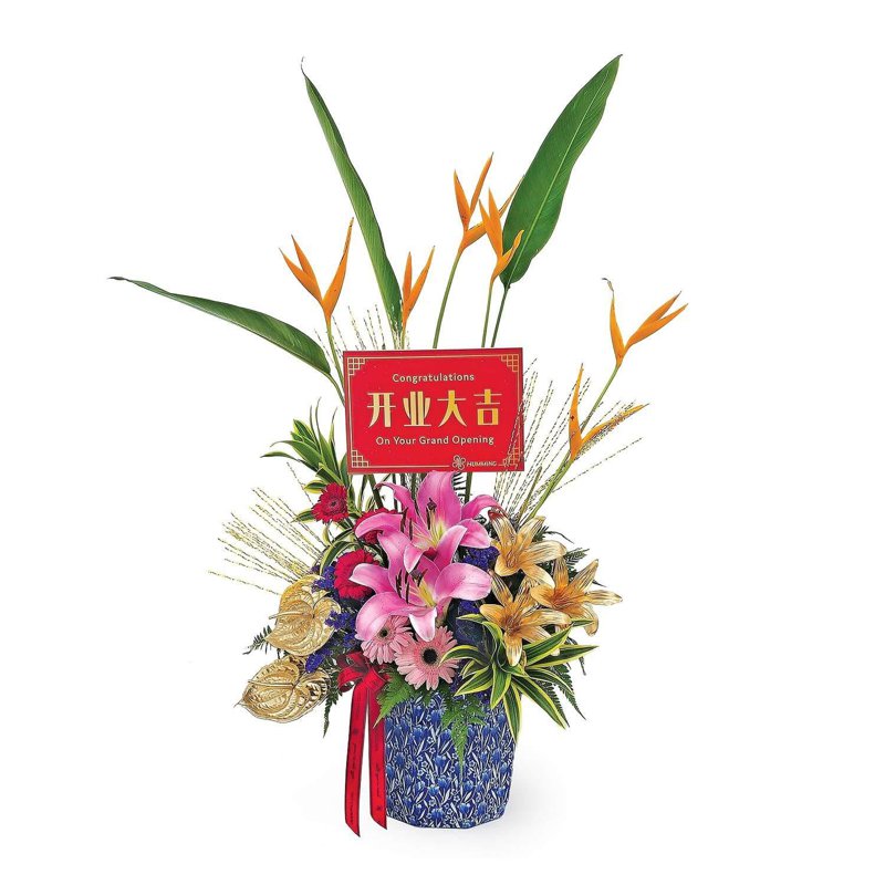 Congratulatory Flower - Rising Splendid (KGO826) 1 S