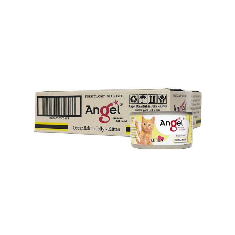 Angel Kitten Oceanfish in Jelly