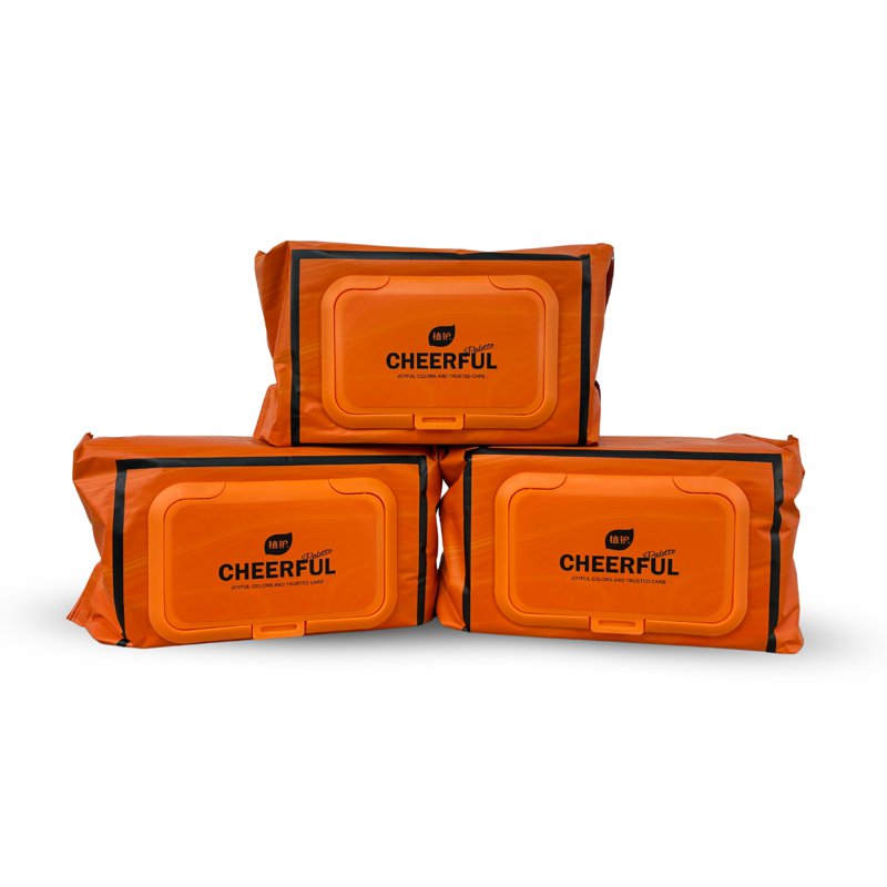Botare Flushable Toilet Wipes Pack - Big 3 x 80 S