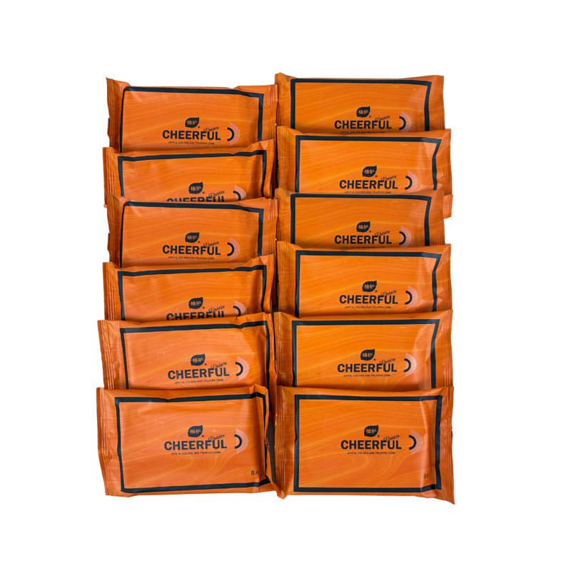 Botare Flushable Toilet Wipes Pack - Small 12 x 8 S