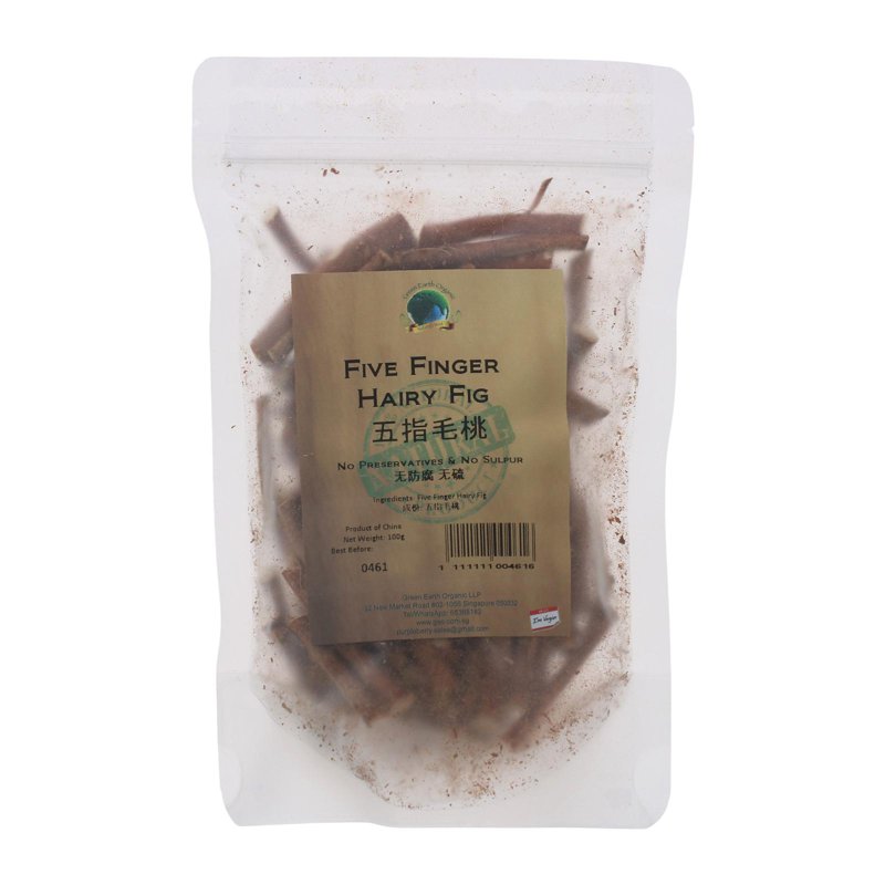 Green Earth Five Finger Hairy Fig