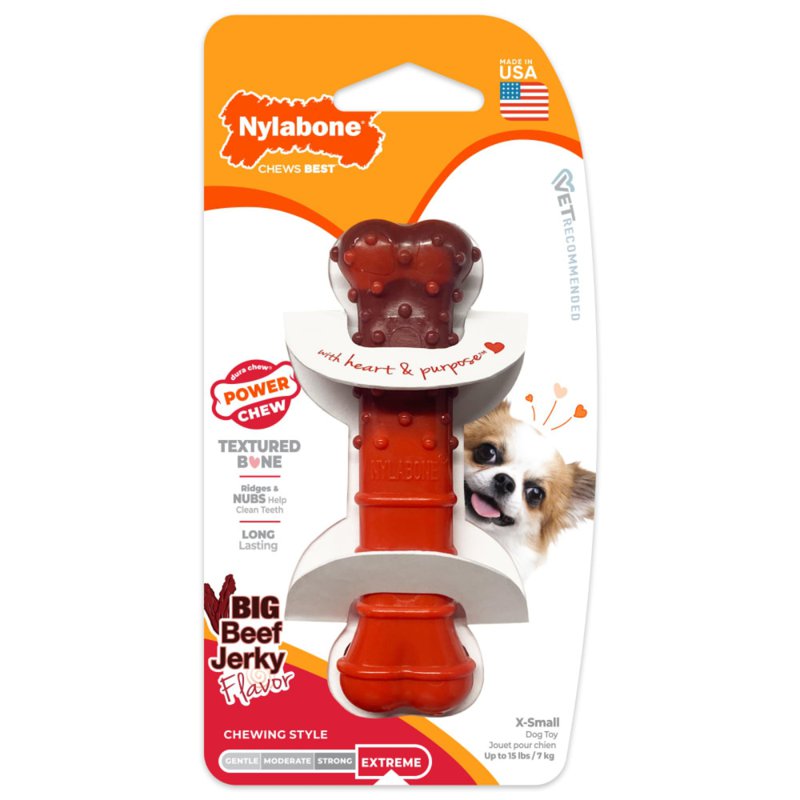 Nylabone Flavor Frenzy Power Chew Durable Beef Jerky Petite 1 S