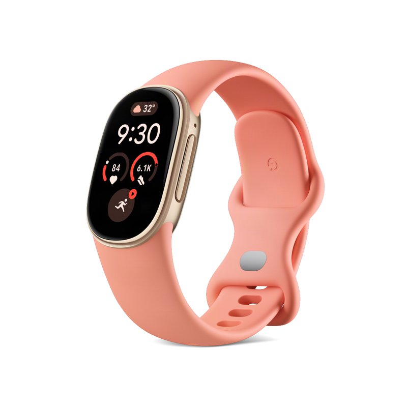 Google Fitbit Fitness Tracker - Edge (Canyon) 1 S