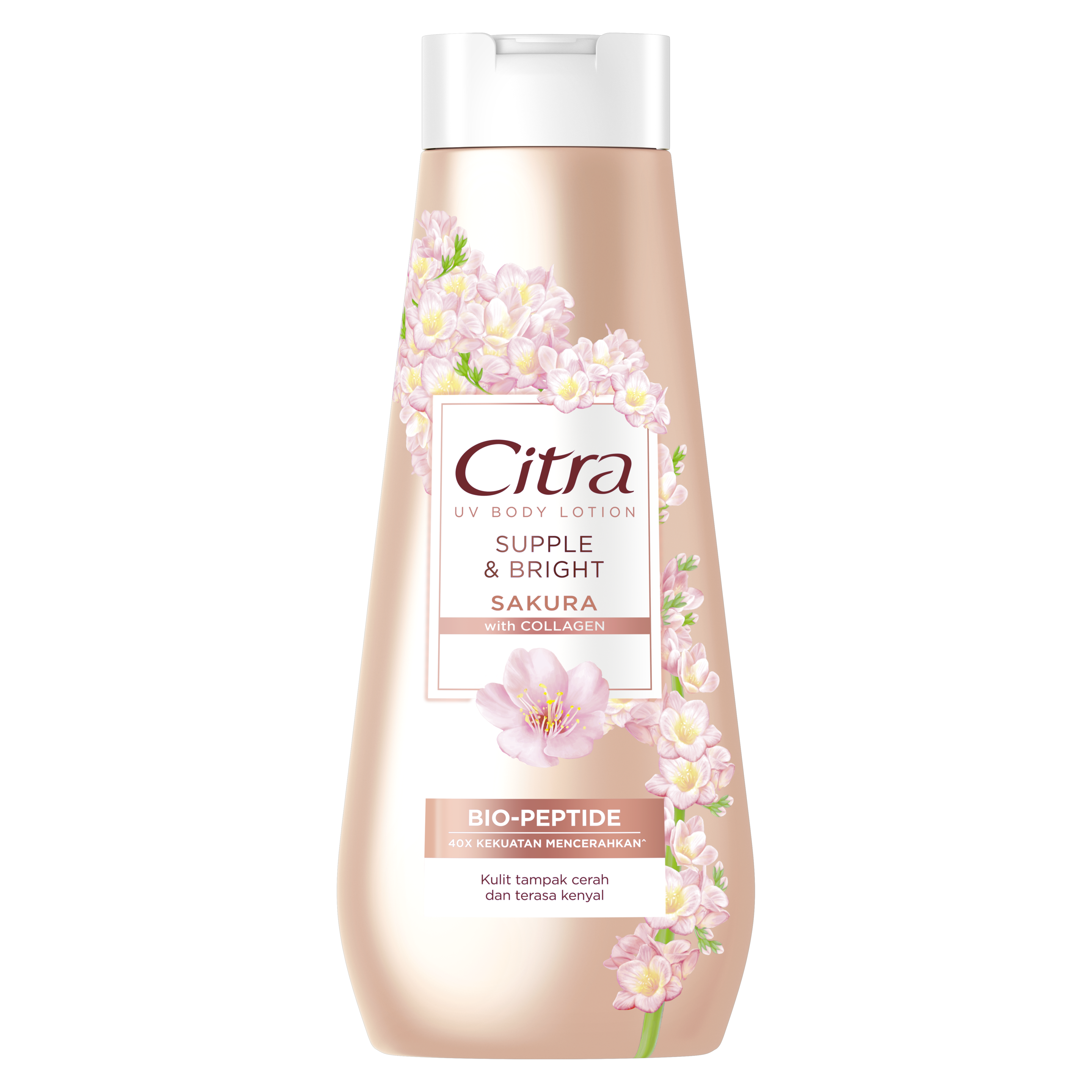 Citra UV Body Lotion Supple & Bright